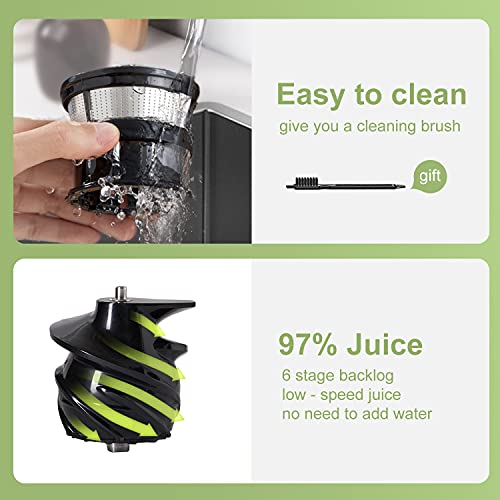 Dewinner Slow Juicer - Mini extractor de zumo, silencioso, prensado en frío, Machina, frutas y verduras, cepillo de limpieza, fácil de limpiar sin BPA