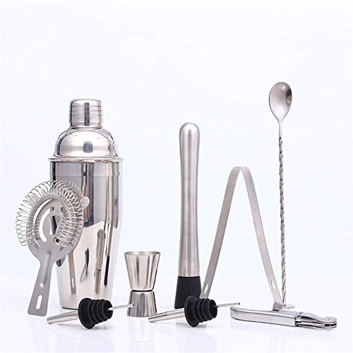 DFJU Juego para Hacer cócteles Juego de Barman: Juego de Barra Negro de 10 Piezas Juego de coctelera con Soporte Elegante Home Bartending Kit Bartender Set (Color: Plata, Tamaño: M)