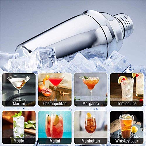 DFJU Juego para Hacer cócteles Juego de Barman: Juego de Barra Negro de 10 Piezas Juego de coctelera con Soporte Elegante Home Bartending Kit Bartender Set (Color: Plata, Tamaño: M)