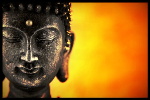 Digital Republic.Com 40511 - Felpudo (Poliamida y PVC, sin ftalato)