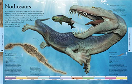 Dinosaurs: A Visual Encyclopedia, 2nd Edition