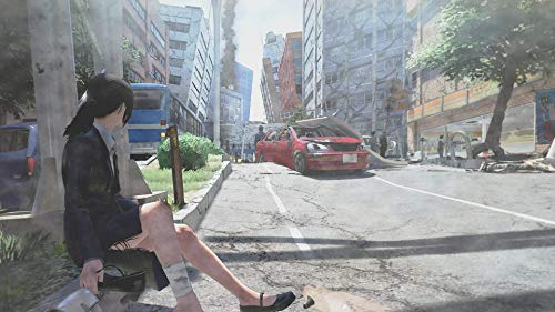 Disaster Report 4 - Summer Memories/Switch - Nintendo Switch [Importación inglesa]