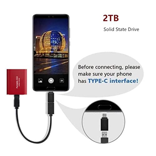 Disco Duro Externo portátil SSD 4TB 6TB 8TB 12TB 16TB Tipo-C Disco Duro Externo USB 3.1 540 M/S para Windows 10, 8, 7, XP/Mac, Android,1TB,Gold