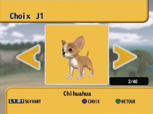 Dogz 2 [Importación francesa]