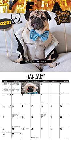 Doug the Pug 2022 Wall Calendar
