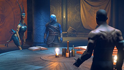 Dreamfall Chapters [Importación Alemana]