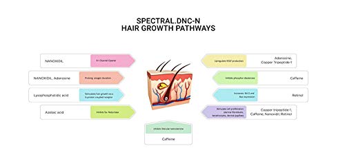 DS Laboratorios Spectral DNC-N - Loción tratamiento caída del cabello, 60 ml