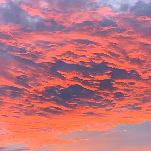 DUALSHOCK (feat. liltyrant) [Explicit]