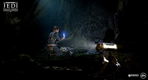 EA STAR WARS JEDI FALLEN ORDER SONY PS4 PLAYSTATION 4 REGION FREE JAPANESE VERSION [video game]