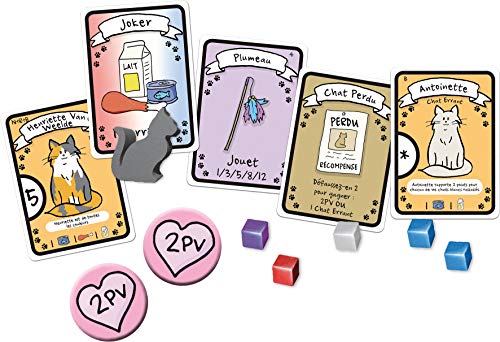 Edge- Cat Lady (EGECL01)