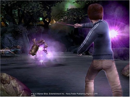 Electronic Arts Harry potter e il calice di fuoco, PS2 - Juego (PS2, PlayStation 2, Acción / Aventura, EA Games)