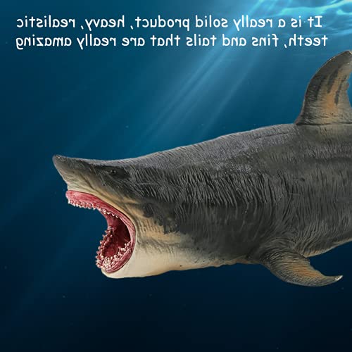 Emoshayoga Big Megalodon Toy, Tiburón de Simulación Hermosa Educativo, un Gran Regalo, Modelo 3D de Tiburón Tigre para Adorno de Decoración de Accesorios para el Hogar