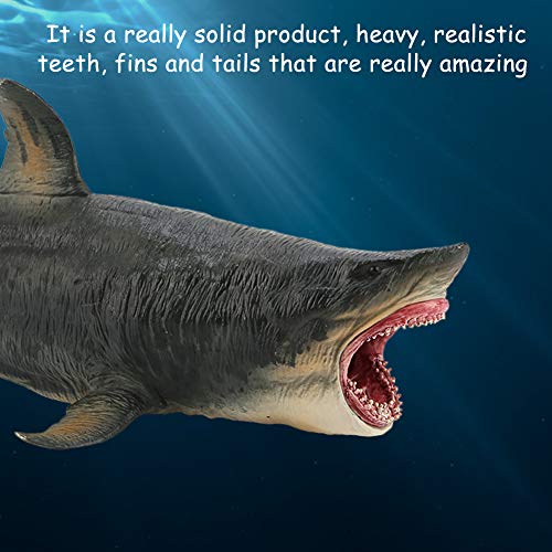 Emoshayoga Big Megalodon Toy, Tiburón de Simulación Hermosa Educativo, un Gran Regalo, Modelo 3D de Tiburón Tigre para Adorno de Decoración de Accesorios para el Hogar