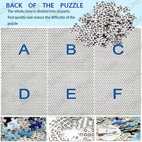 ERTYR Puzzles para Adultos 1000 Piezas Borderlands Rompecabezas Creativo Juegos Habilidad Niños Y Adultos ，Regalos para Amantes O Amigos 75x50cm(1000pcs)