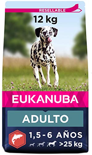 Eukanuba Alimento seco para perros adultos de razas grandes, rico en salmón y cebada, 12 kg