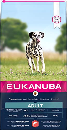 Eukanuba Alimento seco para perros adultos de razas grandes, rico en salmón y cebada, 12 kg
