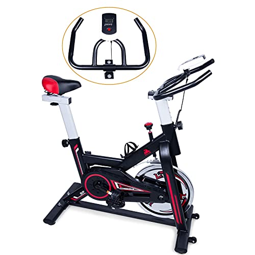 EVOLAND Bicicleta Estática para Interiores, Bicicleta Estática Profesional, Pantalla LCD, Bicicleta Indoor con Resistencia Ilimitada, Soporte para Hervidor, Asiento Ajustable