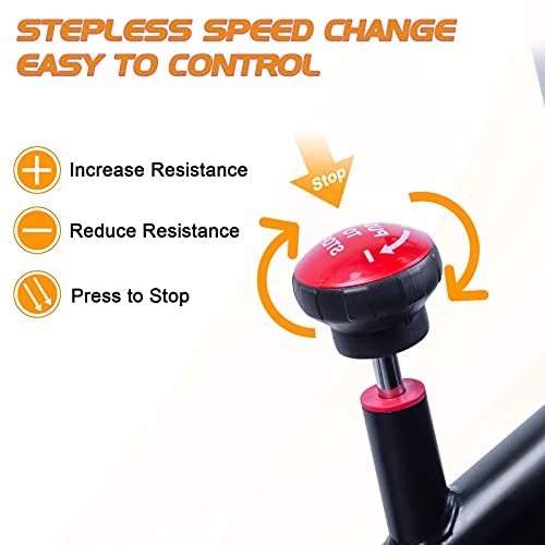 EVOLAND Bicicleta Estática para Interiores, Bicicleta Estática Profesional, Pantalla LCD, Bicicleta Indoor con Resistencia Ilimitada, Soporte para Hervidor, Asiento Ajustable