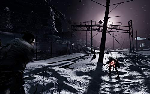 Fade to Silence - PC