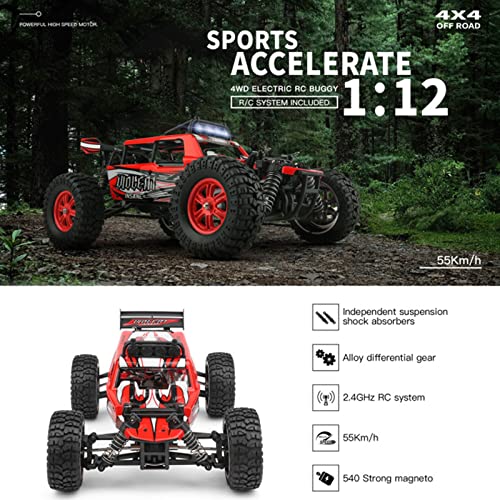 FHDD RC High Speed Off Road Stimbing Coche 1/12 Electric Competitive Rally Car 55 km/H Control Remoto Toy Niños Adulto