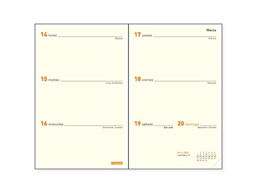 Finocam - Recambio Anual 2022 Semana Vista Apaisada, de Enero 2022 a Diciembre 2022 (12 meses) PL3 - 82x127 mm Plana Español