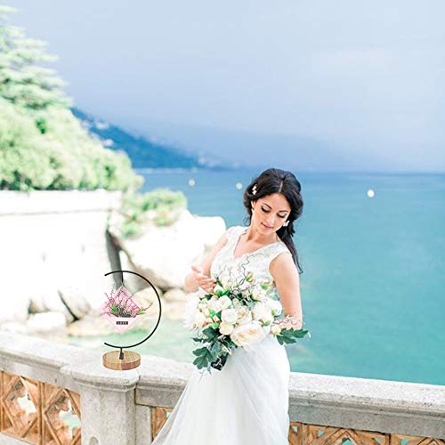 Fosinz Soporte de exhibición del Ornamento - Soporte de Madera del Soporte de la suspensión para la Planta Colgante del Globo