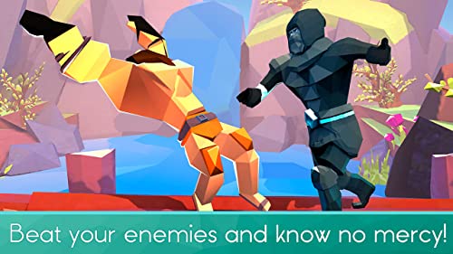 Fury Kung Fu Fighting Champ