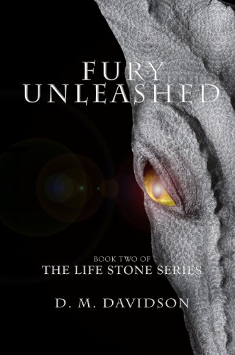 Fury Unleashed (The Life Stone Series Book 2) (English Edition)