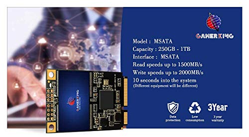 Gamerking Msata 256GB SSD Unidad de Estado sólido Interna Unidad de Disco Duro de Alto Rendimiento para computadora portátil de Escritorio SATA II 6Gb / s SSD (256G B, Msata)