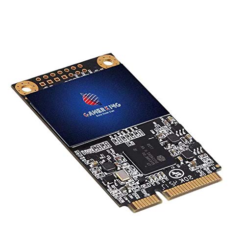 Gamerking Msata 256GB SSD Unidad de Estado sólido Interna Unidad de Disco Duro de Alto Rendimiento para computadora portátil de Escritorio SATA II 6Gb / s SSD (256G B, Msata)