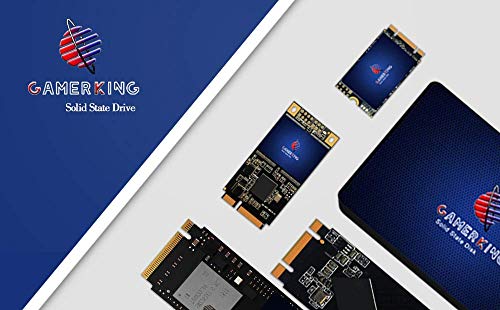 Gamerking Msata 256GB SSD Unidad de Estado sólido Interna Unidad de Disco Duro de Alto Rendimiento para computadora portátil de Escritorio SATA II 6Gb / s SSD (256G B, Msata)