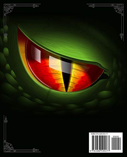 Gamer's Journal: RPG Role Playing Game Notebook - Dragon Eye (Gamers series) (Board & Online Game Journal)