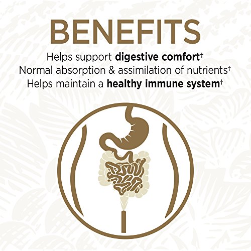 Garden Of Life Primal Defense Ultimate Probiótico Formula 180 Cápsulas Vegetarianas 360 g