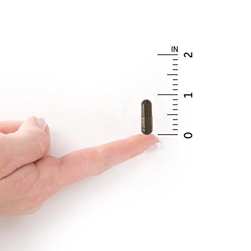 Garden Of Life Primal Defense Ultimate Probiótico Formula 180 Cápsulas Vegetarianas 360 g