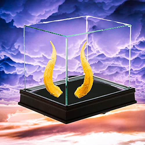 Gat Out Of Hell [Explicit]