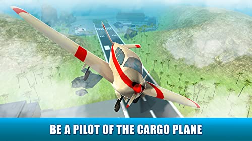 Giant Turboprop Transporter Cargo Plane:  Special Purpose Delivery Game