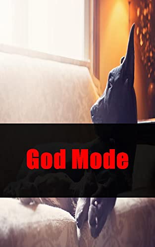 God Mode (French Edition)