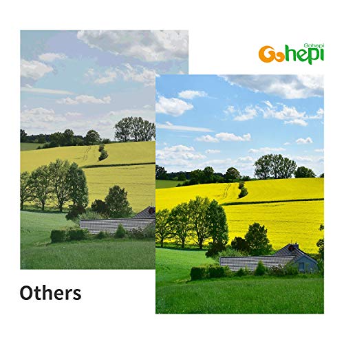 Gohepi Cartuchos de tinta de repuesto para HP 364 364XL, HP Photosmart 5510, 5520, 5522, 6520, B8550, C5388, HP Officejet 4620, HP Deskjet 3070A 4 Negro, 2 Cian, Magenta 2, 2 Amarillo