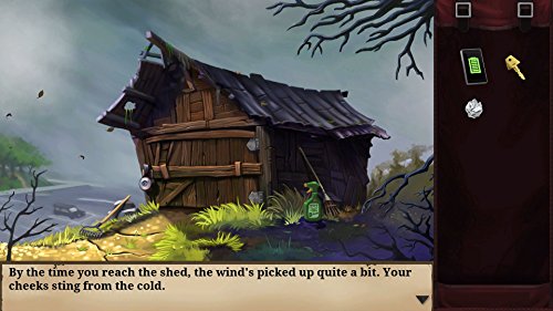 Goosebumps The Game for Nintendo Switch [USA]