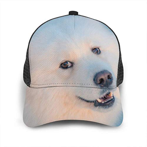 Gorra de béisbol para Hombres y Mujeres, Lindo Perro Blanco Esponjoso Samoyedo en Malla de Camionero Ajustable Gorra de béisbol con ventilación de Verano para Mujeres