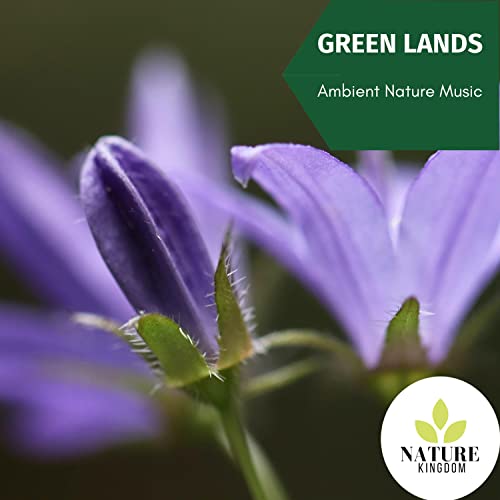 Green Lands - Ambient Nature Music