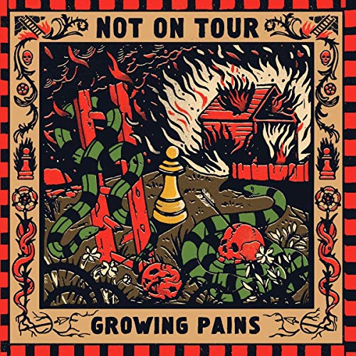 Growing Pains [Vinilo]