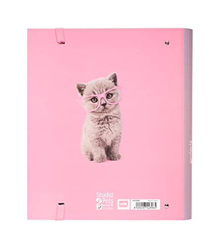 Grupo Erik - Carpeta 4 anillas Troquelada Premium Studio Pets Cats, 32x26 cm