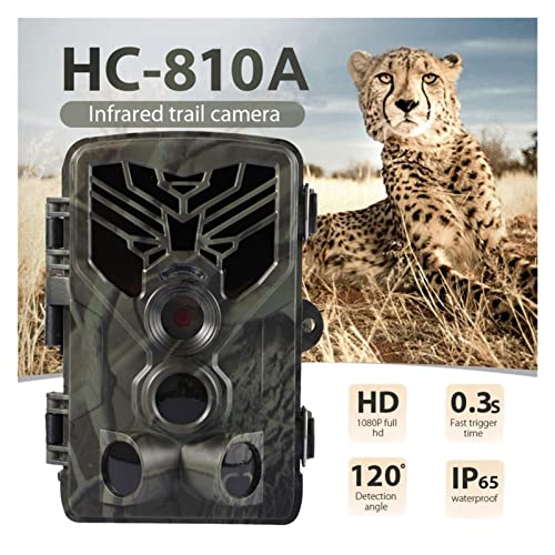 GUANGHEYUAN-J Cámara Oculta HC-810A 1080P 20MP HD Caza de Vida Silvestre Cámara Scouting Trail Cámara Wildview 3 Pir Motion Night Vision Camera Home Safe Game CAM para monitoreo de Vida Silvestre