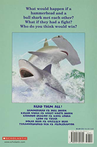 Hammerhead vs. Bull Shark (Who Would Win?)