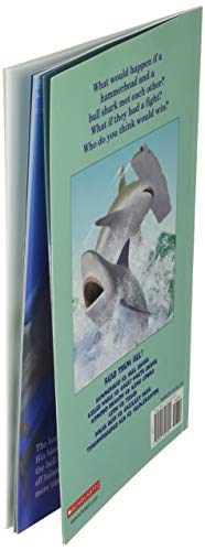 Hammerhead vs. Bull Shark (Who Would Win?)