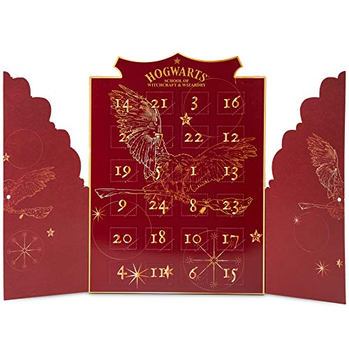 Harry Potter Calendario Adviento 2021, Calendario Adviento Joyas para Mujer, Adolescentes y Niñas con 24 Accesorios