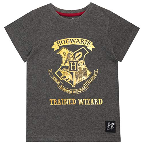 HARRY POTTER Camiseta de Manga Corta Paquete de 2 para niñas Hogwarts Gris 6-7 Años