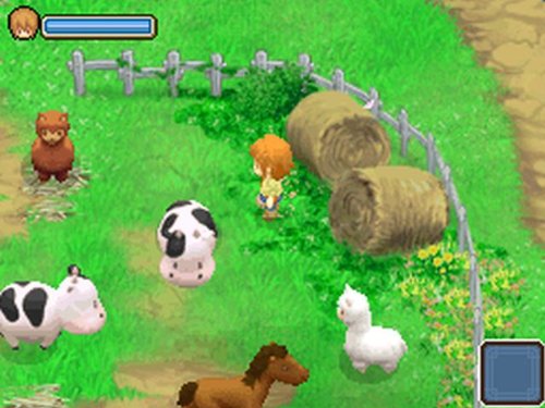 Harvest Moon: The Tale Of Two Towns [Importación inglesa]