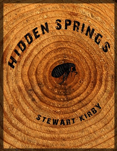 HIDDEN SPRINGS (English Edition)